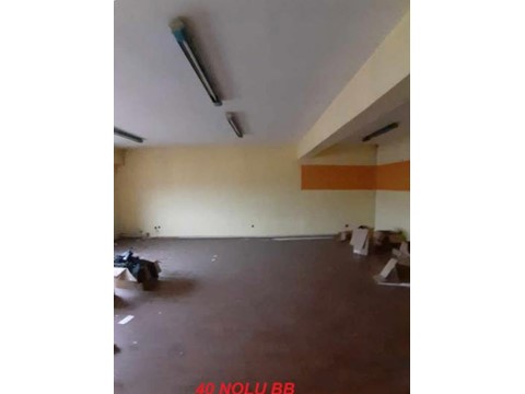 fotograf-24011491