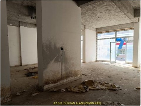fotograf-24133060