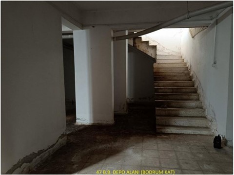 fotograf-24133061