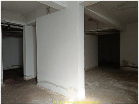 fotograf-24133062