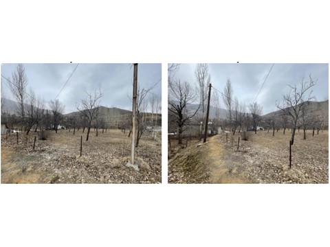 fotograf-24136202