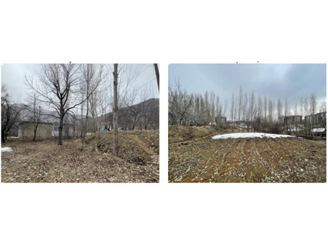 fotograf-24136204
