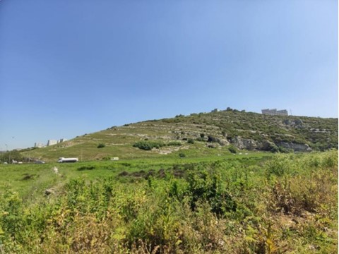 fotograf-24143167