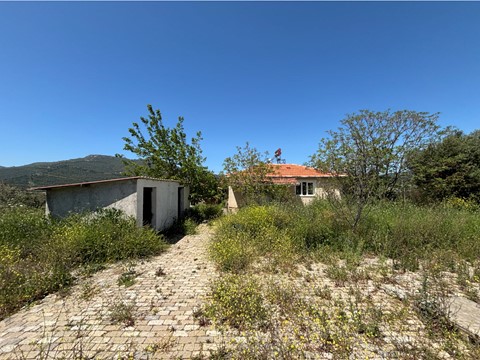fotograf-24141911